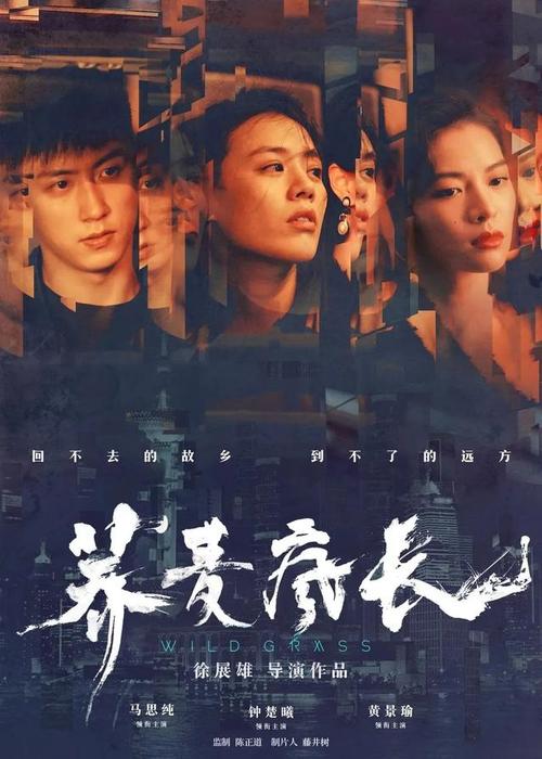 买假新罕布什尔州驾驶执照